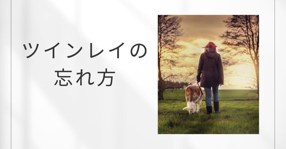 ツインレイを忘れたい